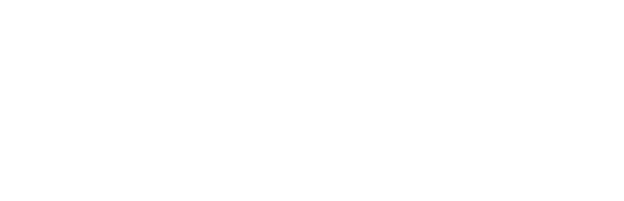 S2MI