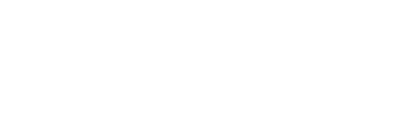 S2MI